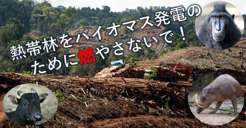 あなたの声がチカラになります