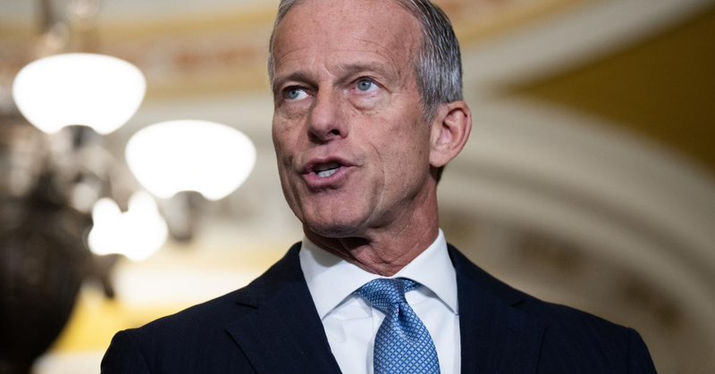 Senate Majority Leader John Thune on Capitol Hill in Nov. 2025. | Getty Images