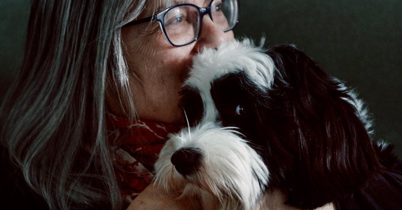 Alice Hoffman cradles her Tibetan terrier, Violet.