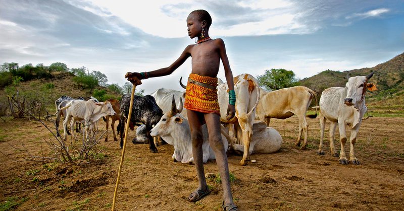 A young shepherd boy holding a stick, standing among cattle in a rural landscape with hills and a cloudy sky in the background.