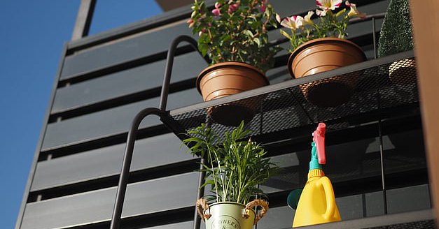 5 Low-Maintenance Flowers to Try This Spring