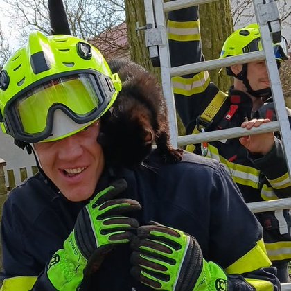 Tak nám s jarem začalo "kočkobraní" :-D Tohle chlupaté nadělení jsme sundávali ze stromu v Horní Bělé #cat #kocka #hasici | HZS Plzeňského kraje | Facebook