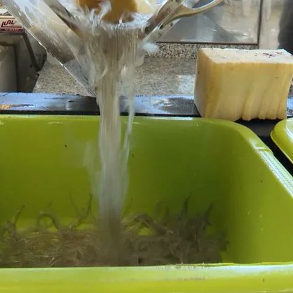 Descripción de la imagen