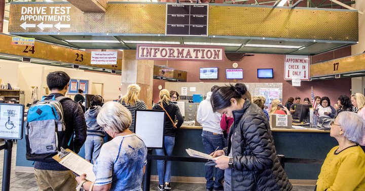 The Nevada Independent Logo