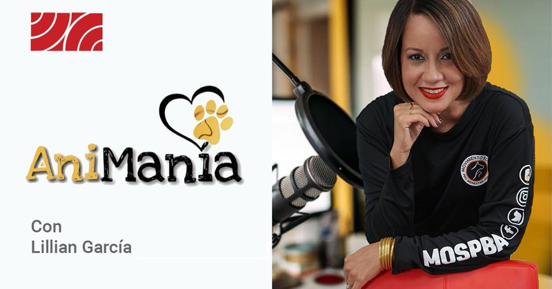 bannere de AniManía con la fotografía de su productora Lillian García