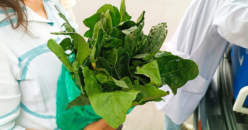 La espinaca que comemos está contaminada con pesticidas, uno de ellos prohibido