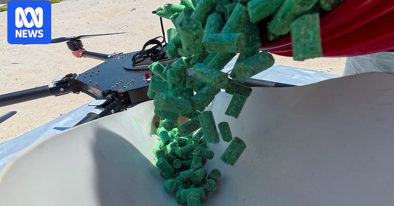 close up of green bait pellets coming out of a drone in the sky