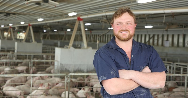 Breed-to-Wean Supervisor: Rockwell City, IA in US