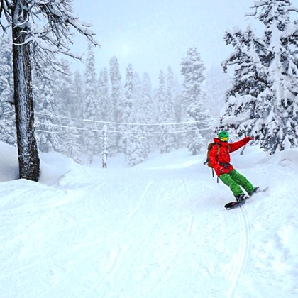 This skier is using a slightly safe slope at Gulmarg. KL Image: Shuaib Wani