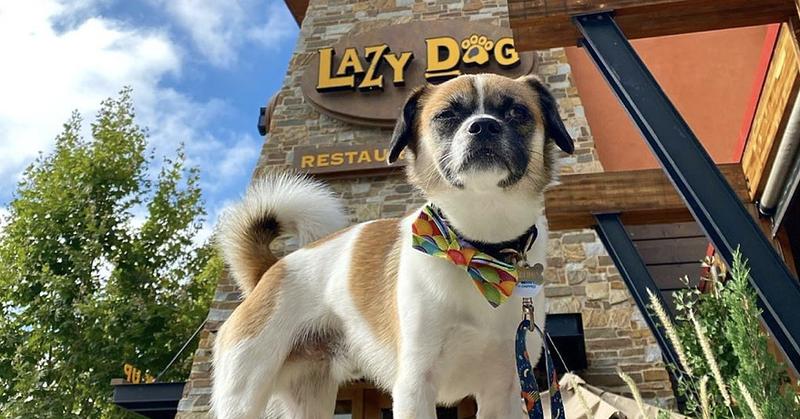 Host/Hostess in Las Vegas, NV