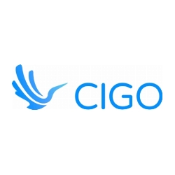 CIGO Introduces Real-Time Break Management: The Next Frontier in Driver Well-Being and Fleet Efficiency