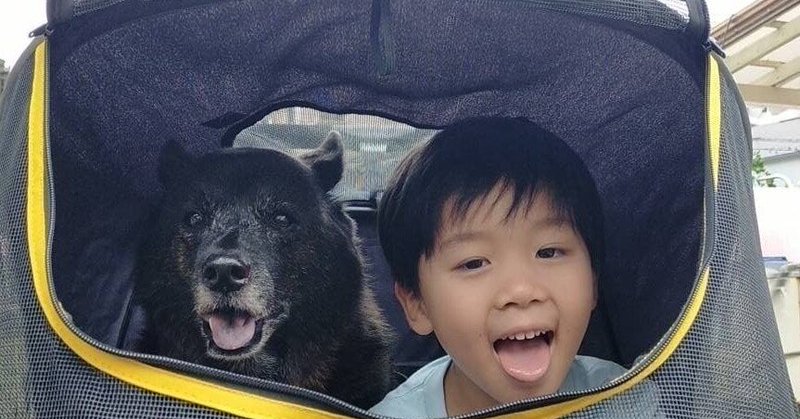 あなたの声がチカラになります