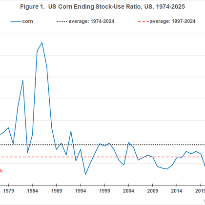 Figure 1 – US Corn Ending Stock-Use Ratio (1974–2025) Line chart showing the U.S. corn stock-to-use ratio from 1974 to 2025. The ratio is highly volatile in the 1980s (peaking above 60%) and stabilizes at lower levels after 2000. The long-term average is about 18.7%, the more recent average (1997–2024) is 13.1%, and the latest value is approximately 12.9%.