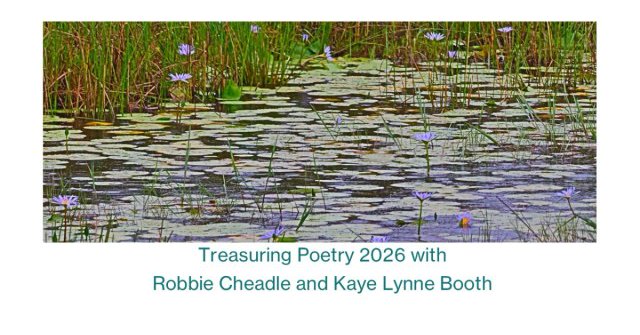 A riverbed with stones, water, and grasses. Text: Treasuring Poetry with Robbie Cheadle and KAye Lynne Booth