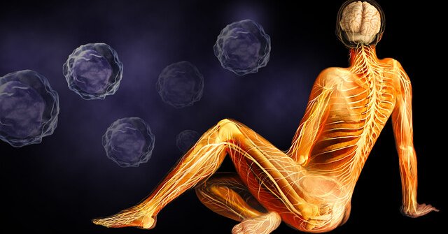 Stem cells and figure with nervous system