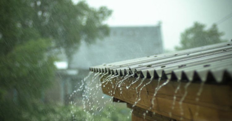 Rain Update: मराठवाडा ते विदर्भ… ‘या’ जिल्ह्यांमध्ये विजांच्या कडकडाटासह गारपीट अन् पाऊस; पुढचे 4 दिवस ‘यलो अलर्ट’