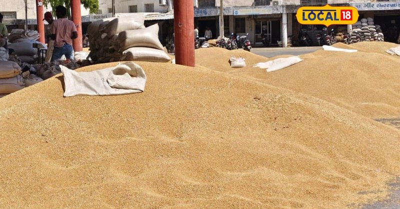 શું તમે હજુ સુધી ઘઉં વેચવા માટે નોંધણી નથી કરાવી? તો ઉતાવળ રાખજો, 27 માર્ચ છે છેલ્લી તારીખ