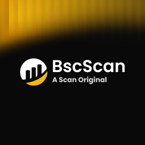 Visit BscScan.com