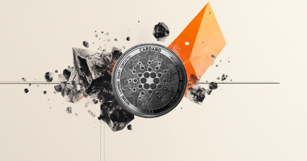 Cardano falling, but whales are quietly accumulating. What does this mean?