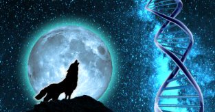 A Vested Interest - Immortality Gene by John Chapman, Shelia Chapman