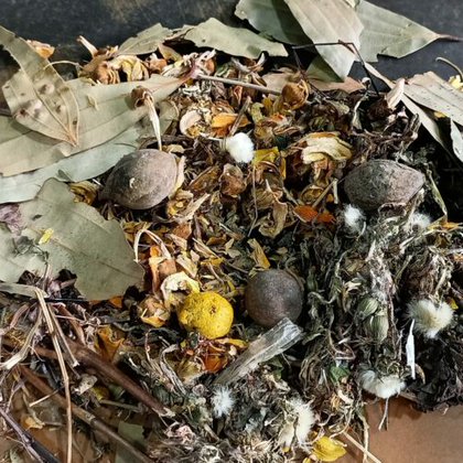 Loaseh Gasseh: The herbal mix that goes into the making of special fragrant and curative water that women use for bathing after 4 days of childbirth. KL Image