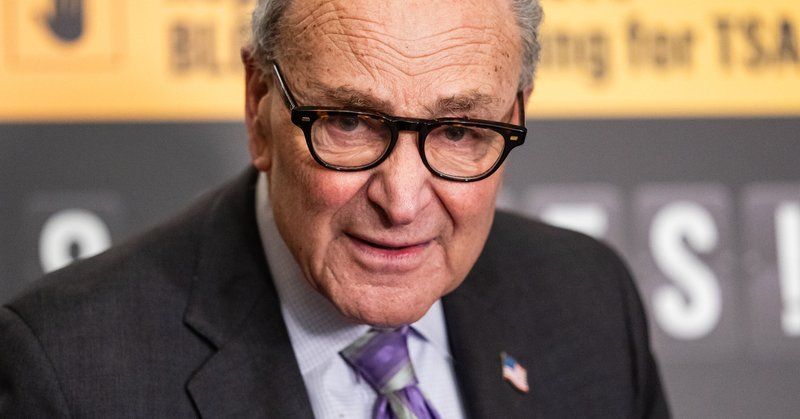 Senator Chuck Schumer said a Democratic counteroffer would “rein in” Immigration and Customs Enforcement agents “with common-sense guardrails.”