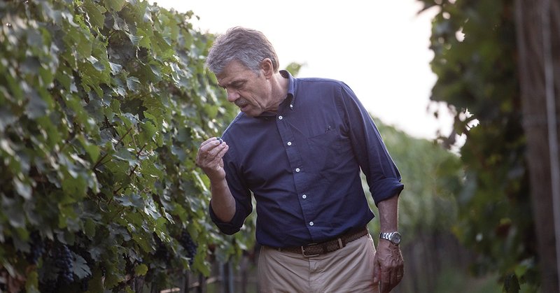 Renzo Cotarella hlýtur alþjóðlega viðurkenningu fyrir framúrskarandi víngerð