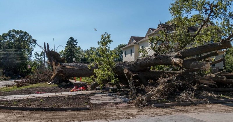 Storm damage in Grinnell after a derecho in 2020. A fallen tree lays across the yard of someone's home.