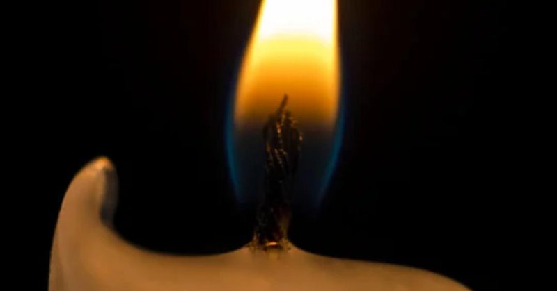 Hora do Planeta acontece neste sábado com ação global pelo meio ambiente