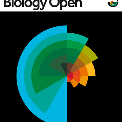 Issue Cover