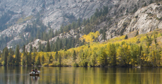 Director of Public Works (Mono County, California, United States)