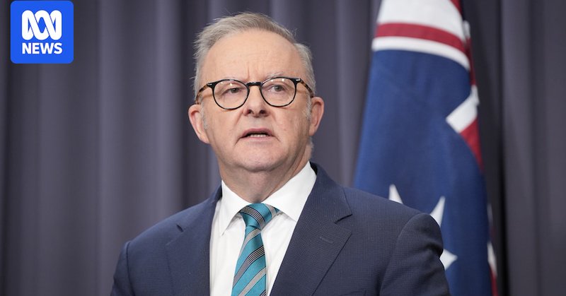 Anthony Albanese stands before a flag.