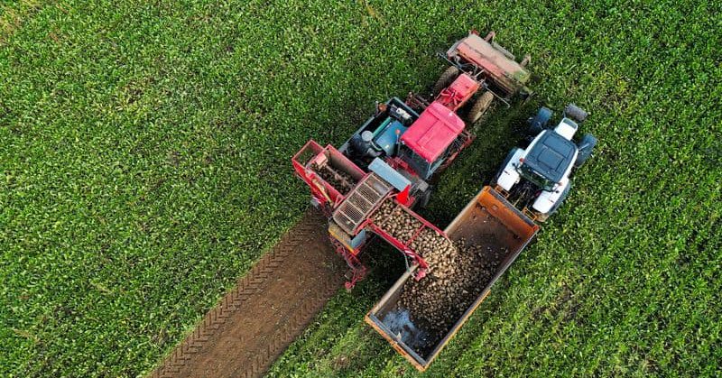 Featured image for EU set to suspend some duty-free sugar imports for a year, Bloomberg News reports