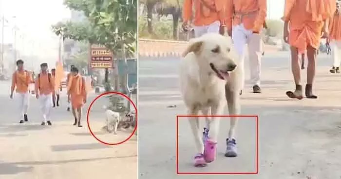 TRENDING: భక్తికి తోడైన విశ్వాసం.. శునకం చేసిన పనికి నెటిజన్లు ఫిదా!