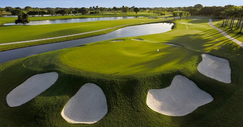 Shuttle Driver - Front Office in Doral, FL