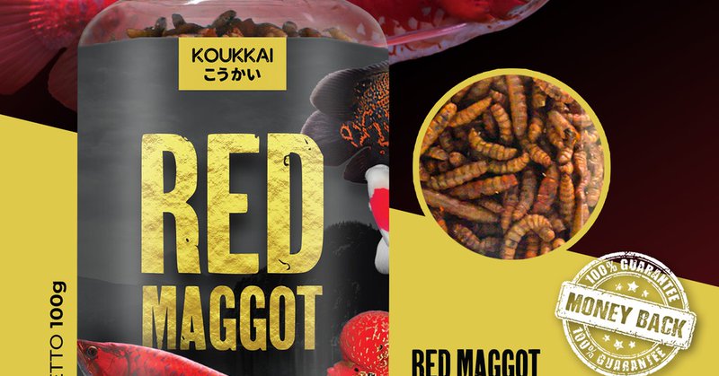 Jual Red Maggot with Beta-carotene KOUKKAI Pakan Ikan Predator /...