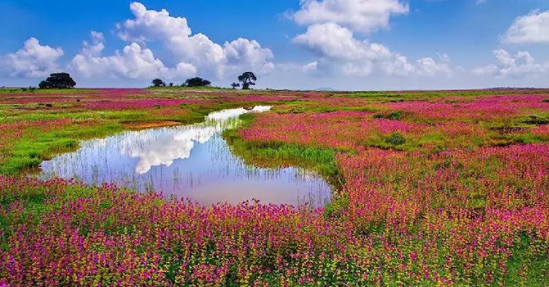 Travel : स्वित्झर्लंडलाही टक्कर देतात भारतातील 'या' ७ जागा; पाचवं ठिकाण बघताच कराल तिकीट बुक - Marathi News | Travel: These 7 places in India rival Switzerland; Book a ticket as soon as you see the fifth place | Latest Travel News at Lokmat.com