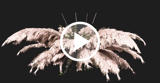 "Floating Pampas Cloud" - Download free 3D models generated with Meshy AI by @jd.dizayn