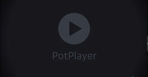 PotPlayer 260114