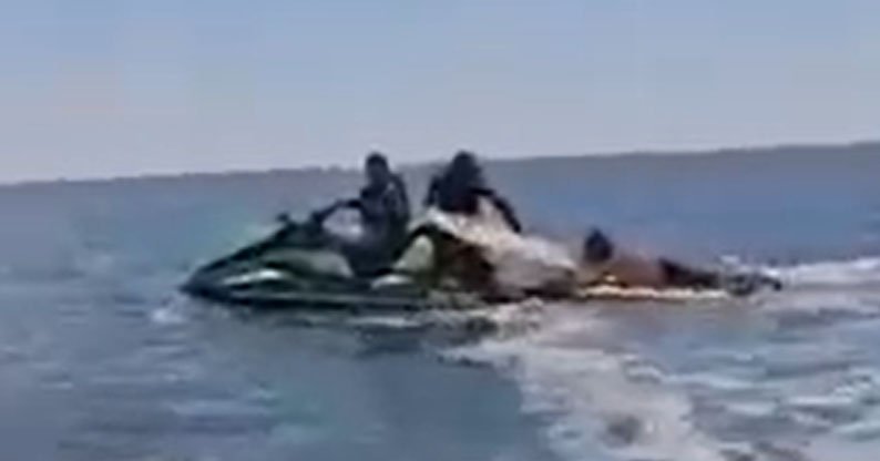 PNC rescata a joven surfista en la playa San Blas | Noticias