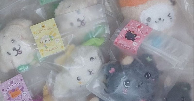 Jual NCT STEADY WISH DOLL SION RIKU YUSHI JAEHEE RYO SAKUYA | Shopee...