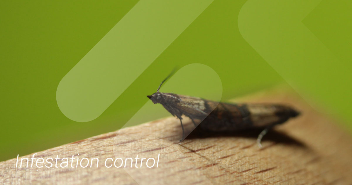 Infestation control