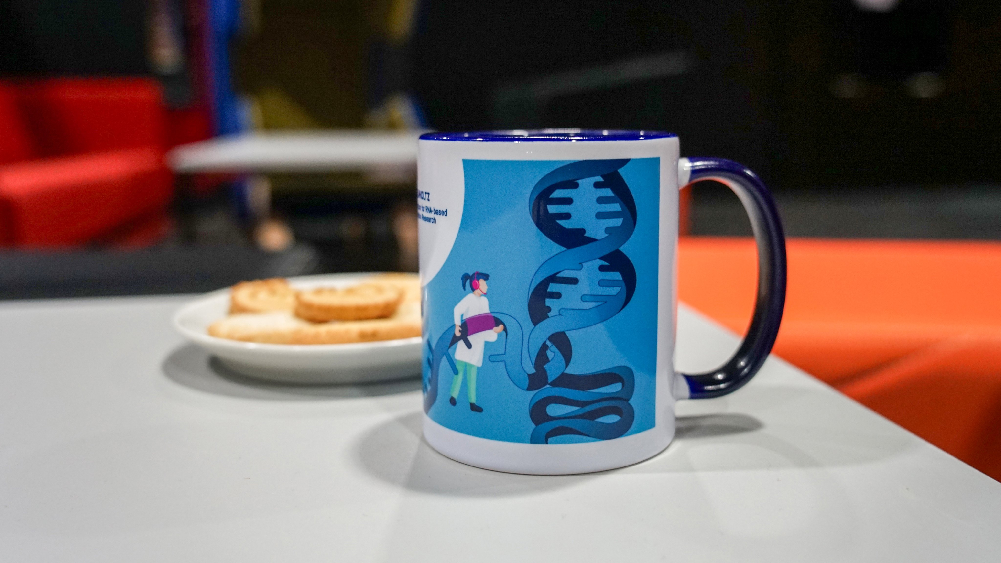 Photo: HIRI / Luisa Macharowsky