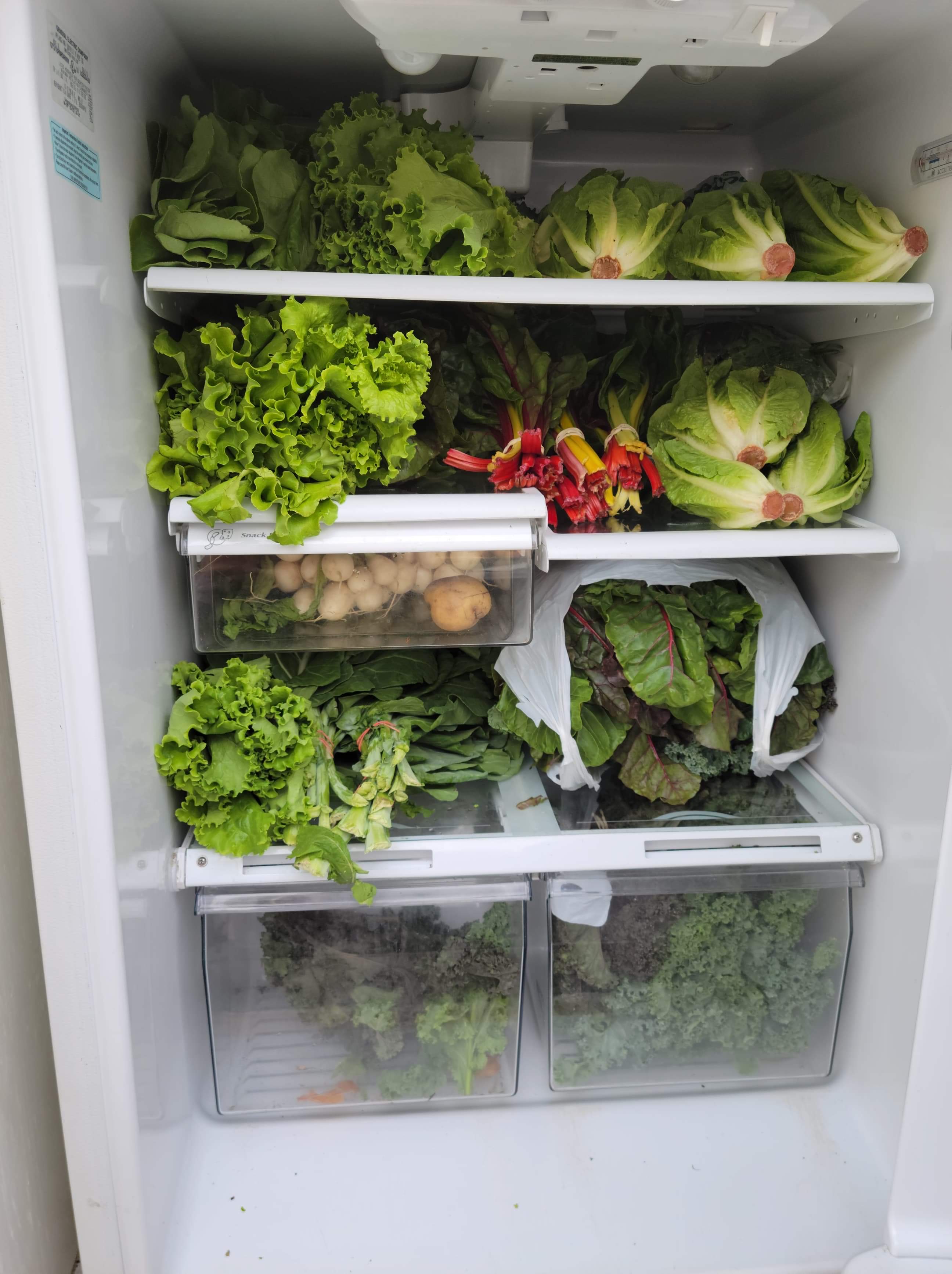 Fresh vegetables in the fridge from farmers at Landsdowne Market