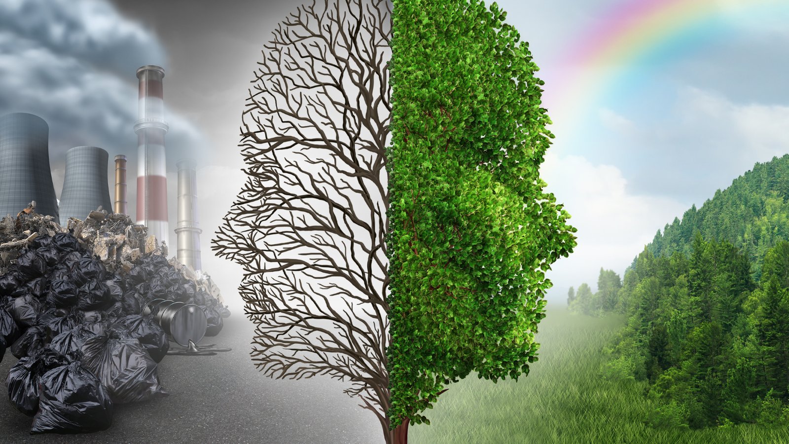 Graphic image of trees and polution