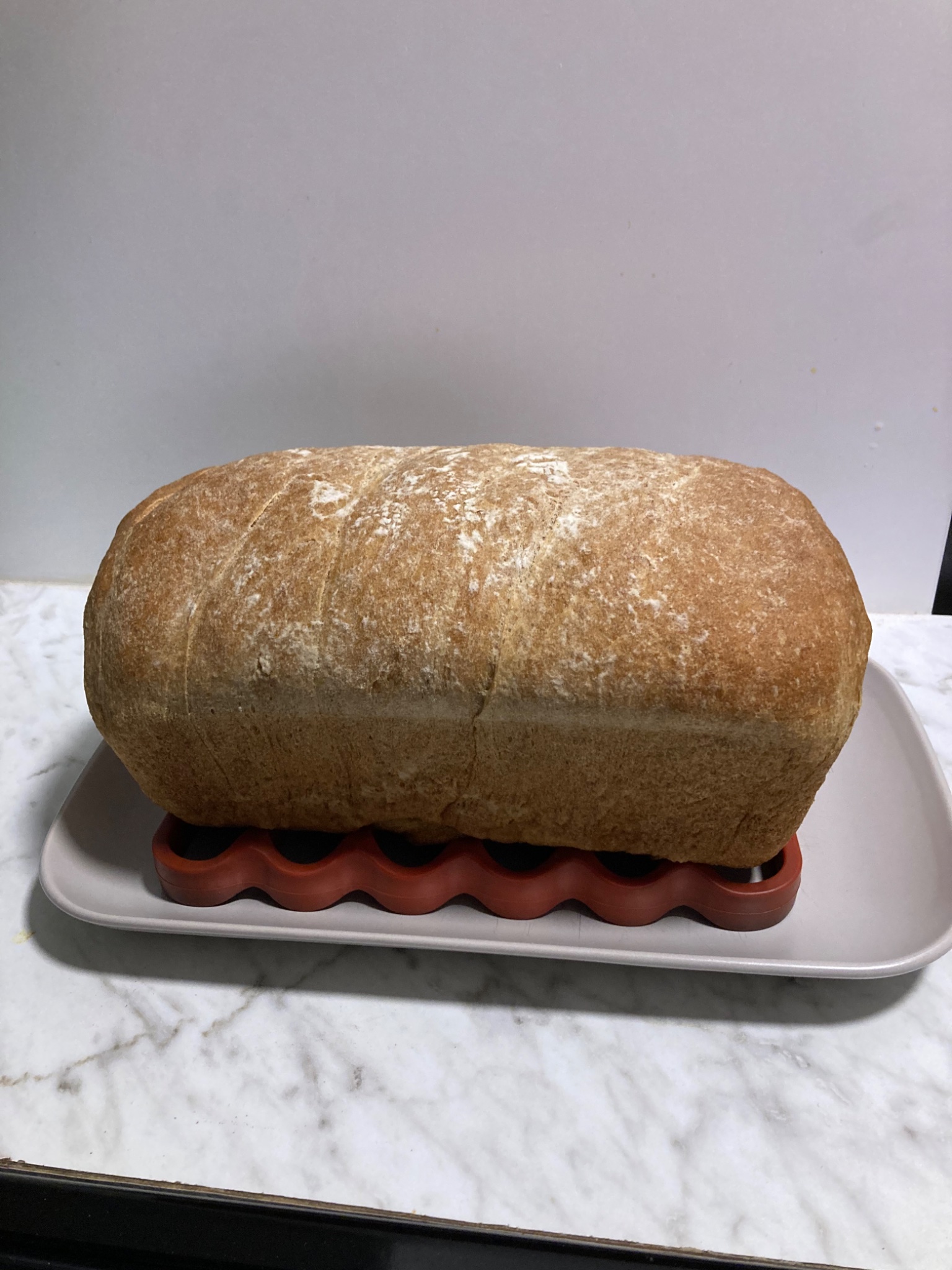 2/3 Whole Wheat Flour 1/3 Bread Flour