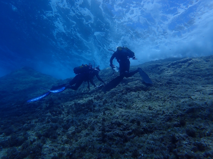 Treball de camp a Cabrera, Balears. Crèdits: Xavier Turon Barrera/CEAB-CSIC