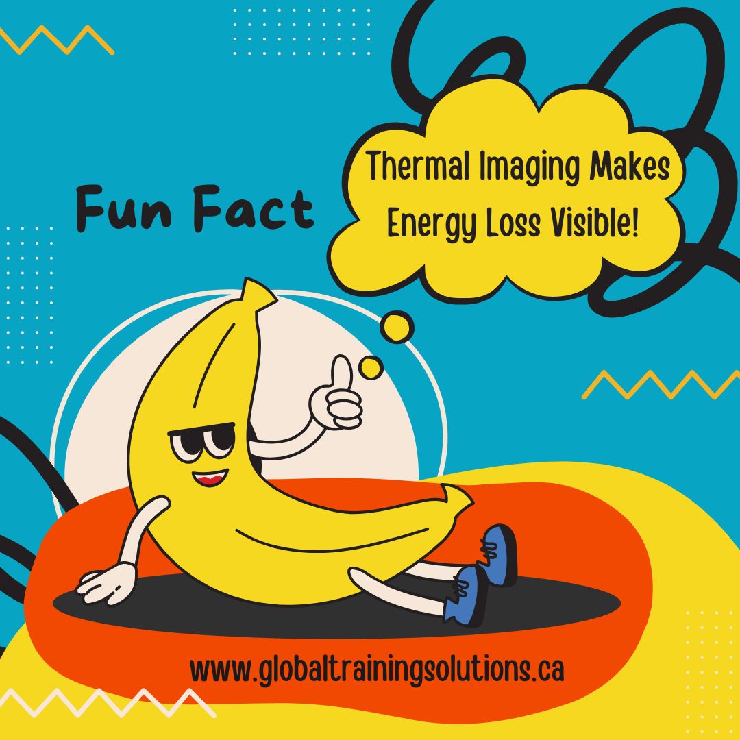Thermal imaging and infrared technology are essential tools in building science, allowing experts to detect heat loss, air leakage, and insulation failures. Infrared inspections support energy efficiency, green building practices, and accurate building diagnostics. Learn how by registering for Infrared Level 1 Course and Certification program.  https://globaltrainingsolutions.ca/infrared-thermography-training-certification/