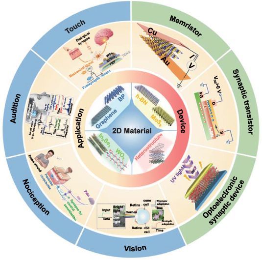 Reviewing 2D material-based neuromorphic devices!