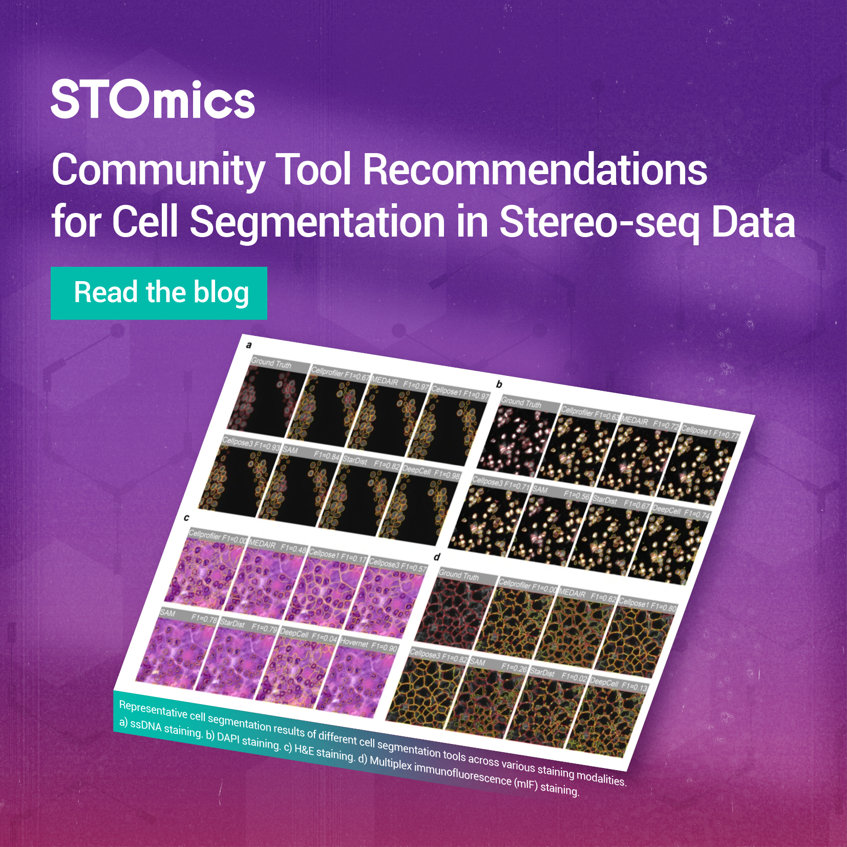 Community Tool Recommendations for Cell Segmentation in Stereo-seq Data